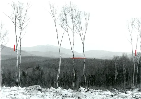 60 Indian Pipe Road Franconia NH 03580