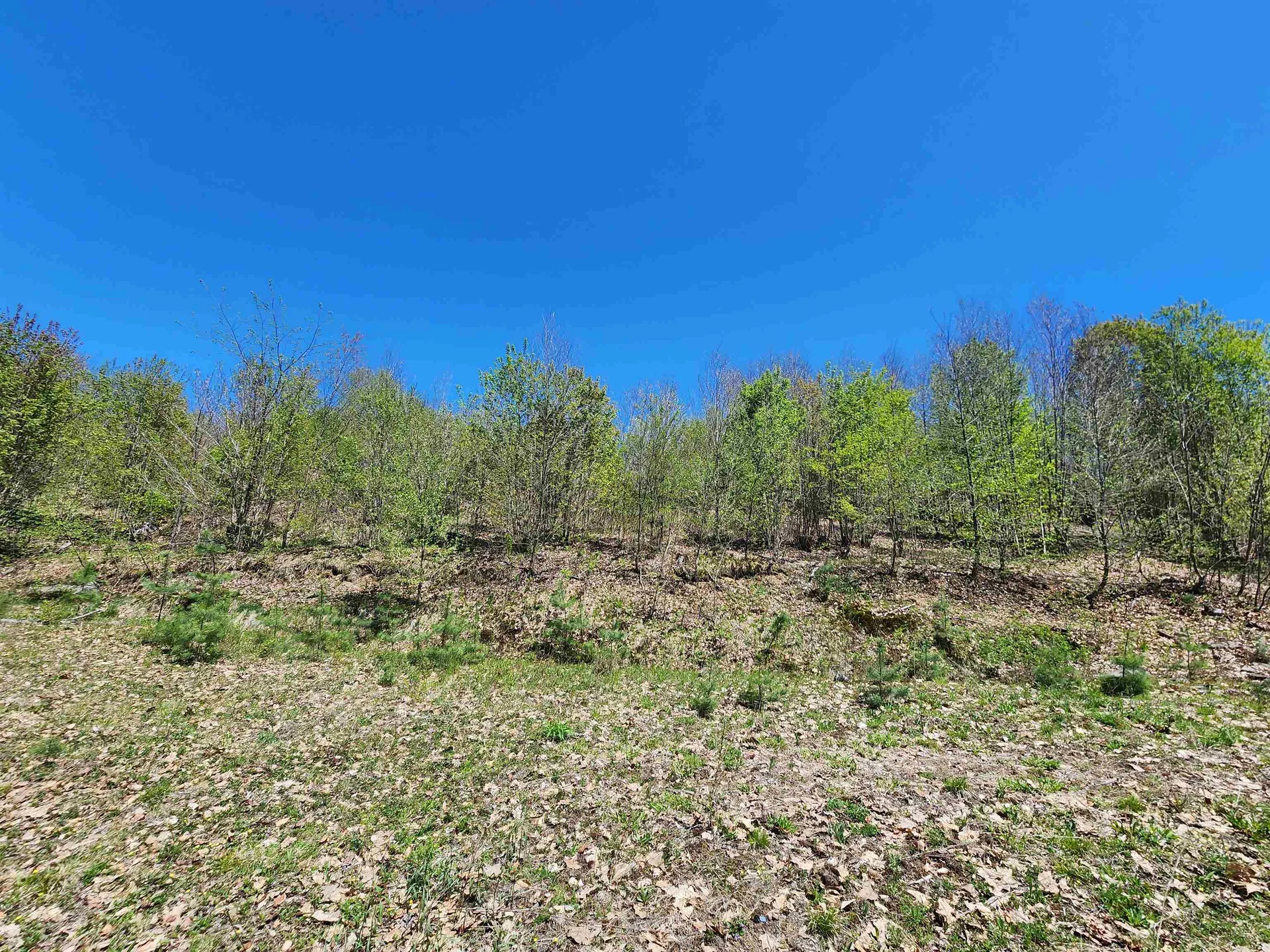 000 Green Mountain Turnpike Chester VT 05143