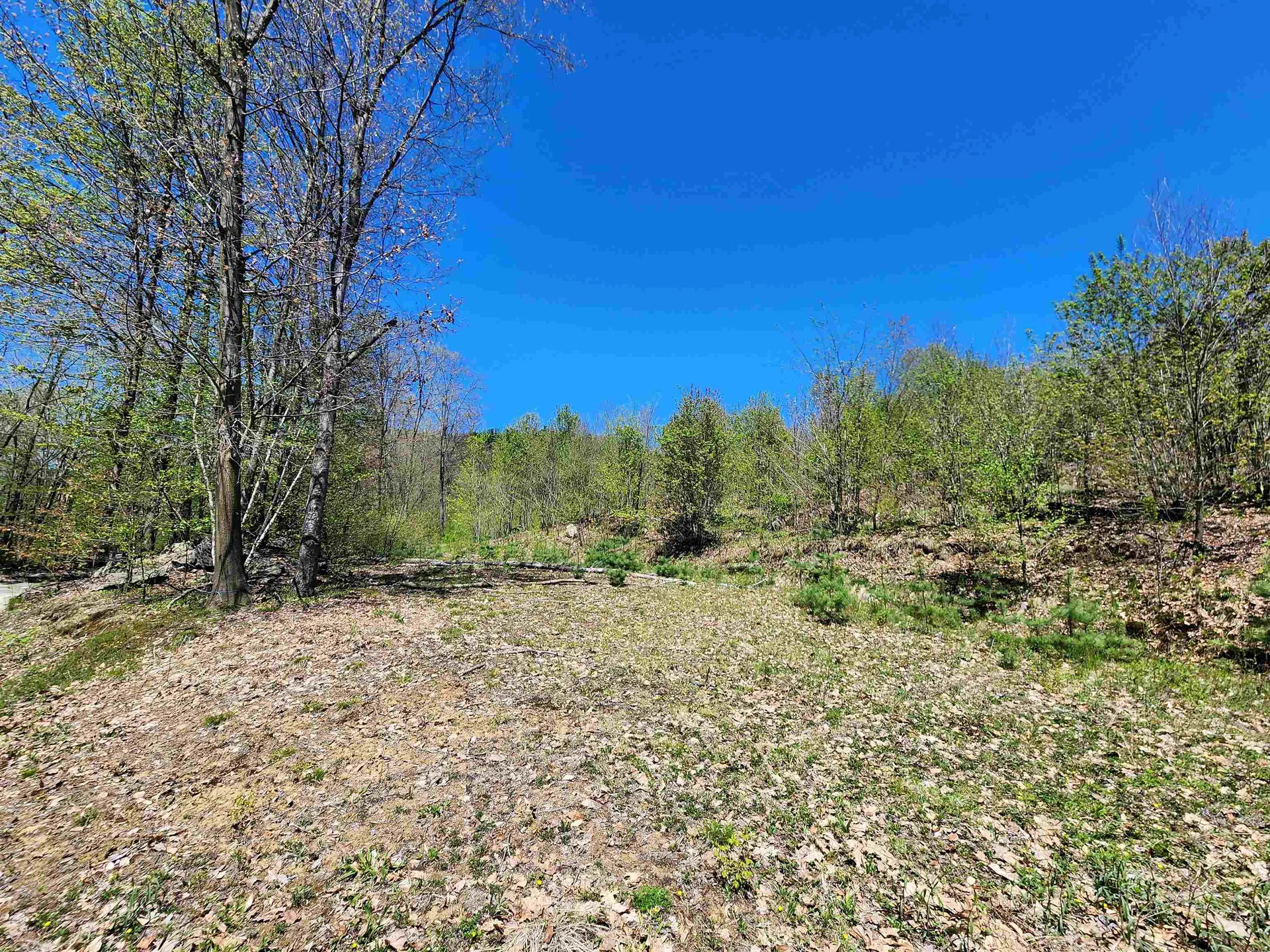 000 Green Mountain Turnpike Chester VT 05143