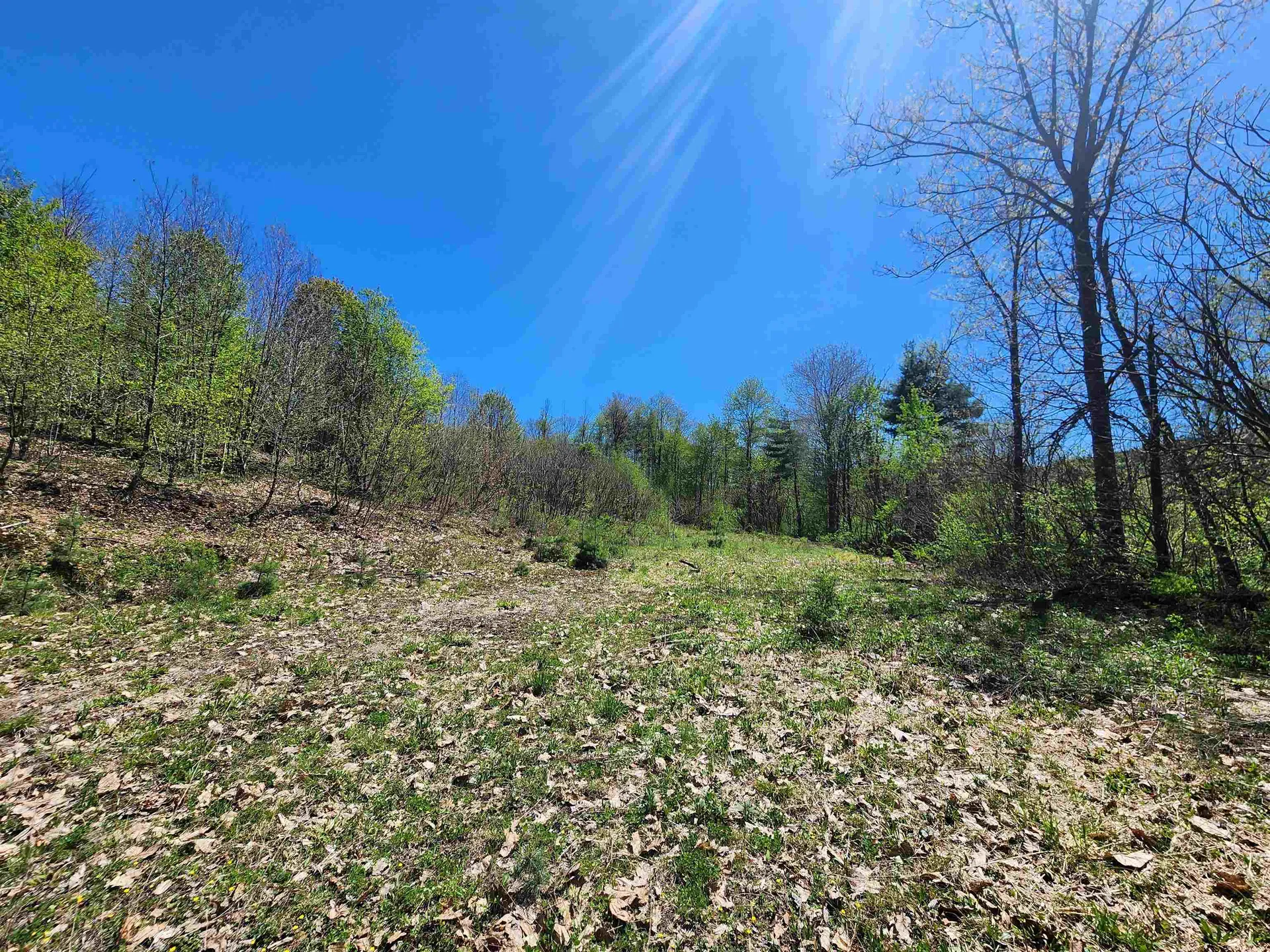 000 Green Mountain Turnpike Chester VT 05143