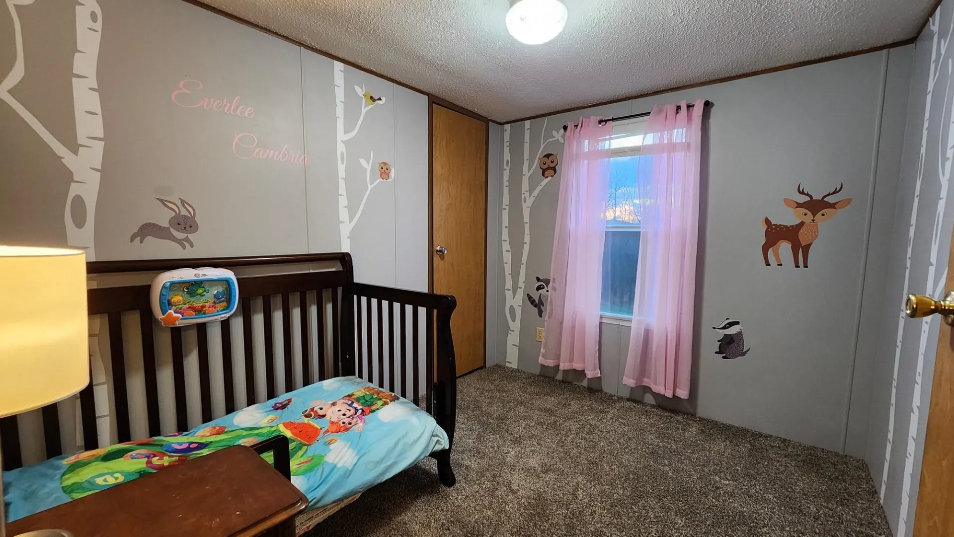 1096 Duck Pond Road Barton VT 05822