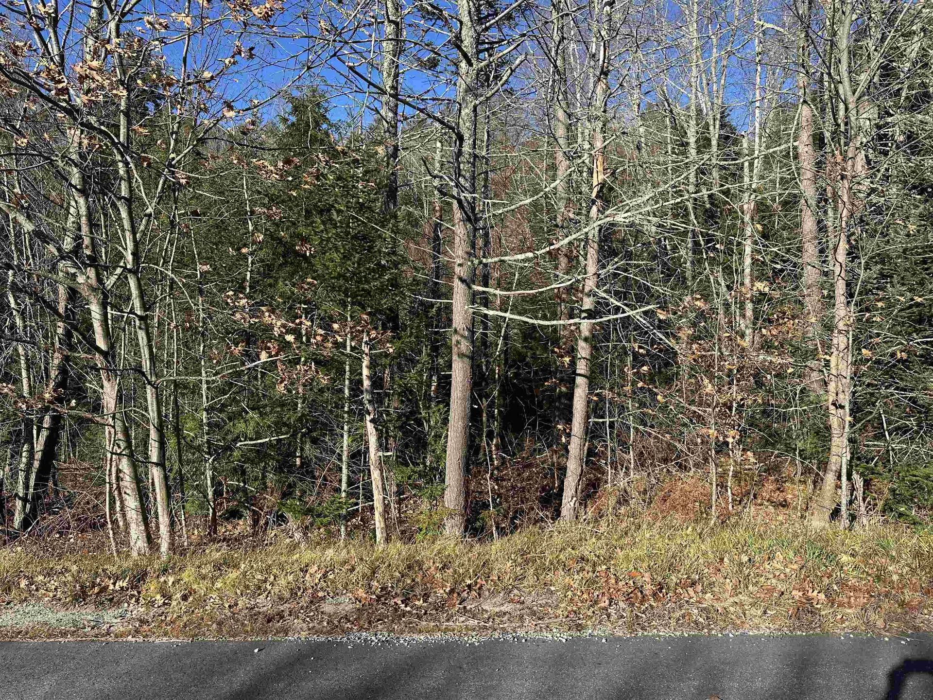 Lot 5 Timmothy Road Sunapee NH 03782