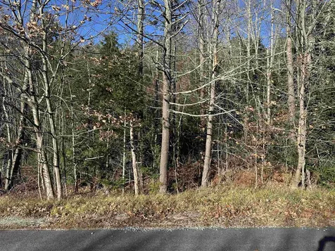 Lot 5 Timmothy Road Sunapee NH 03782