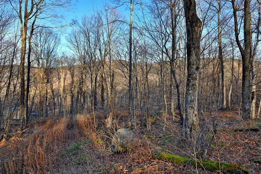 430 Lower Rebecca Lane Killington VT 05751