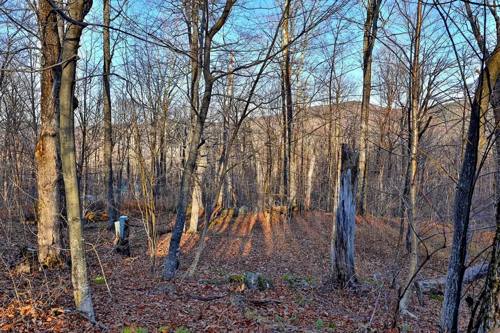 430 Lower Rebecca Lane Killington VT 05751