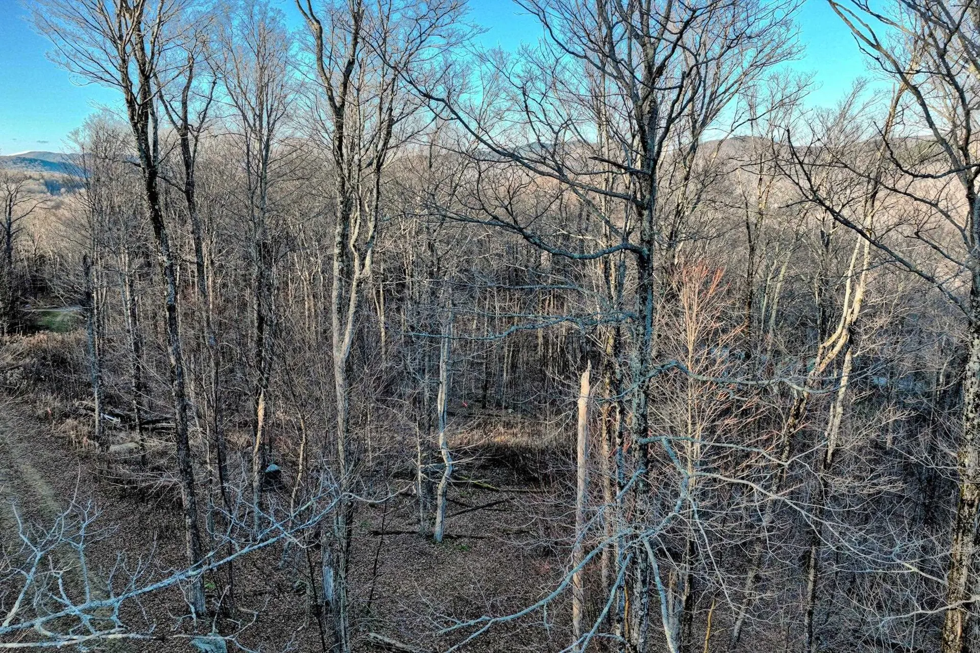 430 Lower Rebecca Lane Killington VT 05751