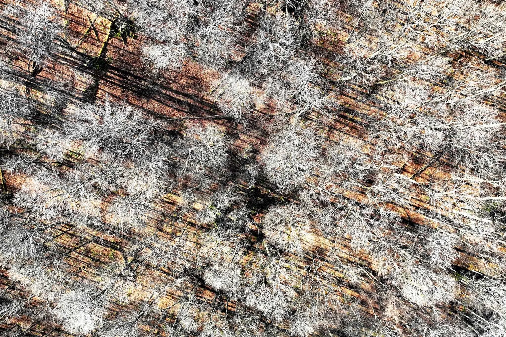 430 Lower Rebecca Lane Killington VT 05751