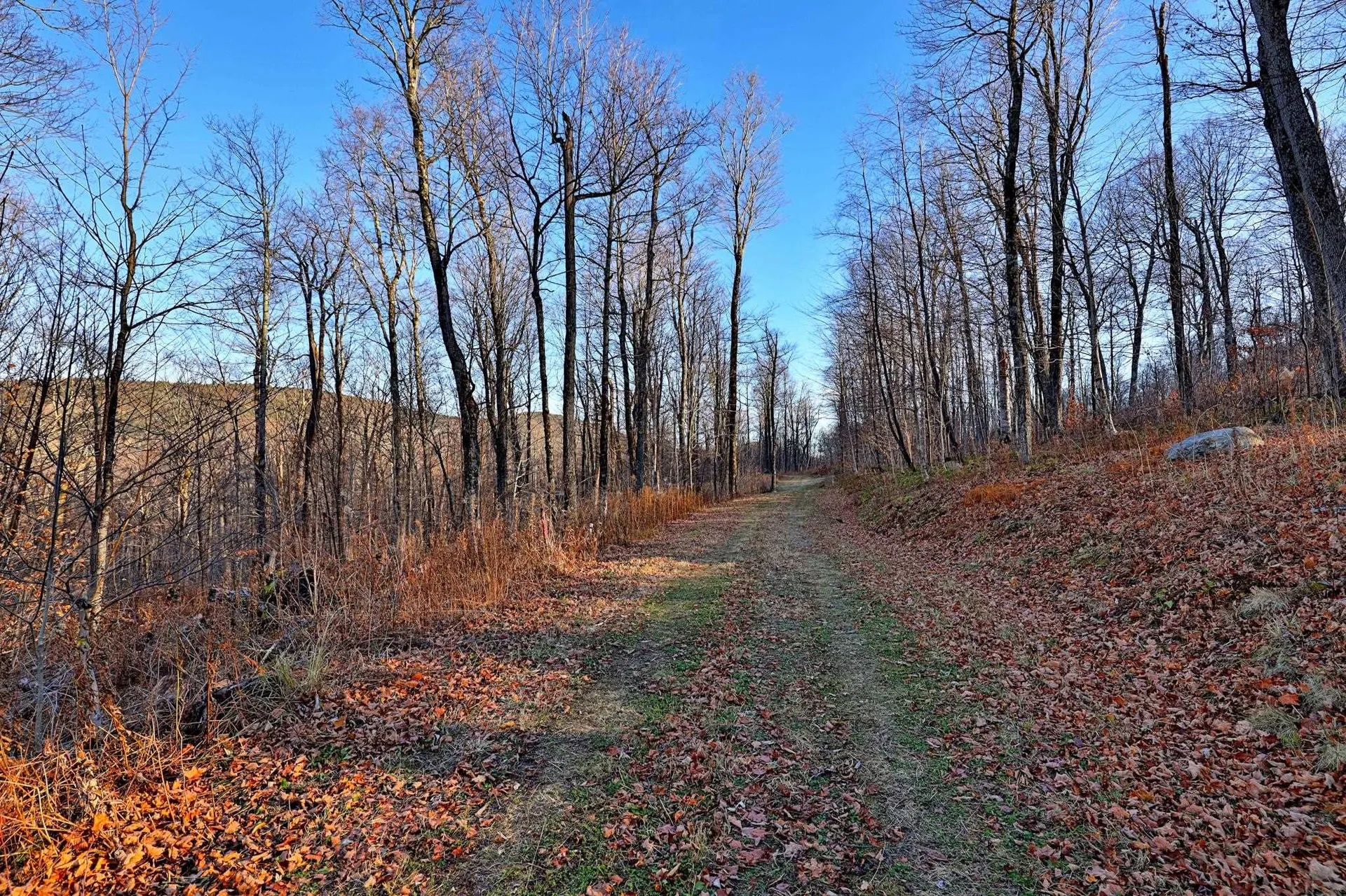 430 Lower Rebecca Lane Killington VT 05751