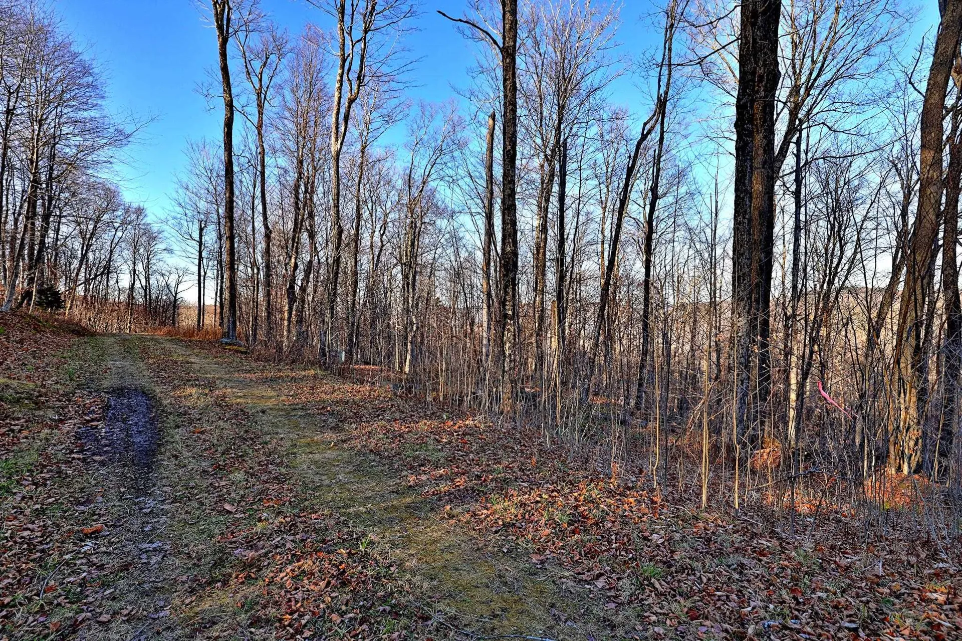 430 Lower Rebecca Lane Killington VT 05751