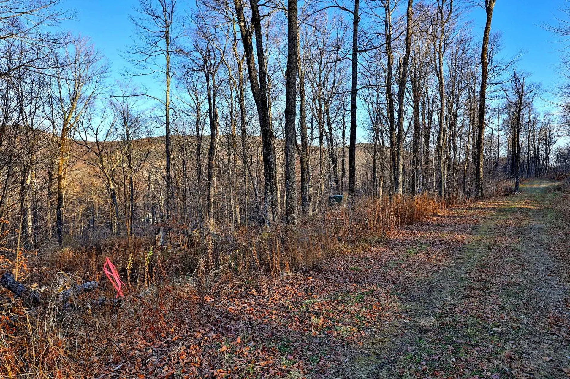 430 Lower Rebecca Lane Killington VT 05751