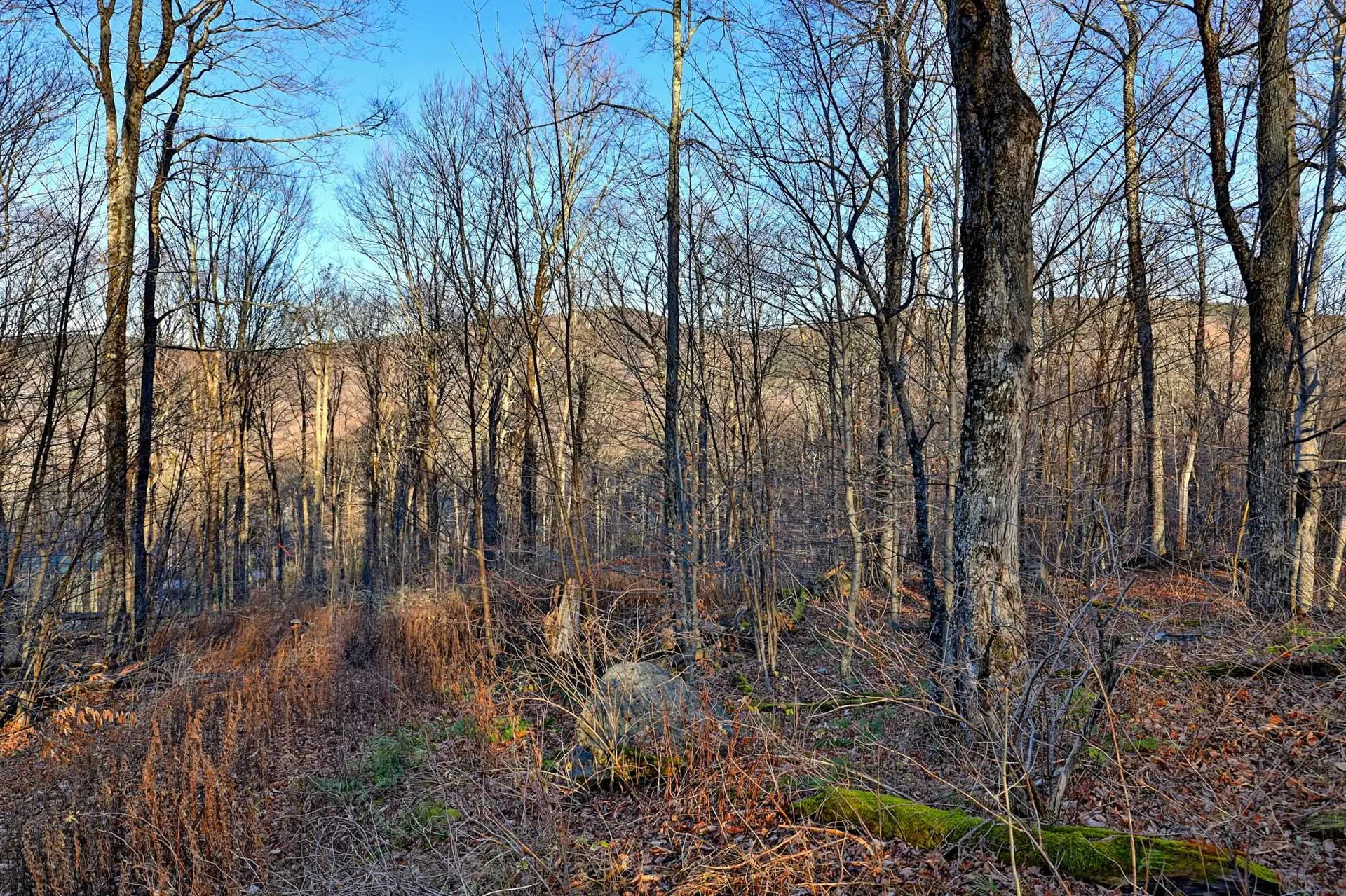 430 Lower Rebecca Lane Killington VT 05751