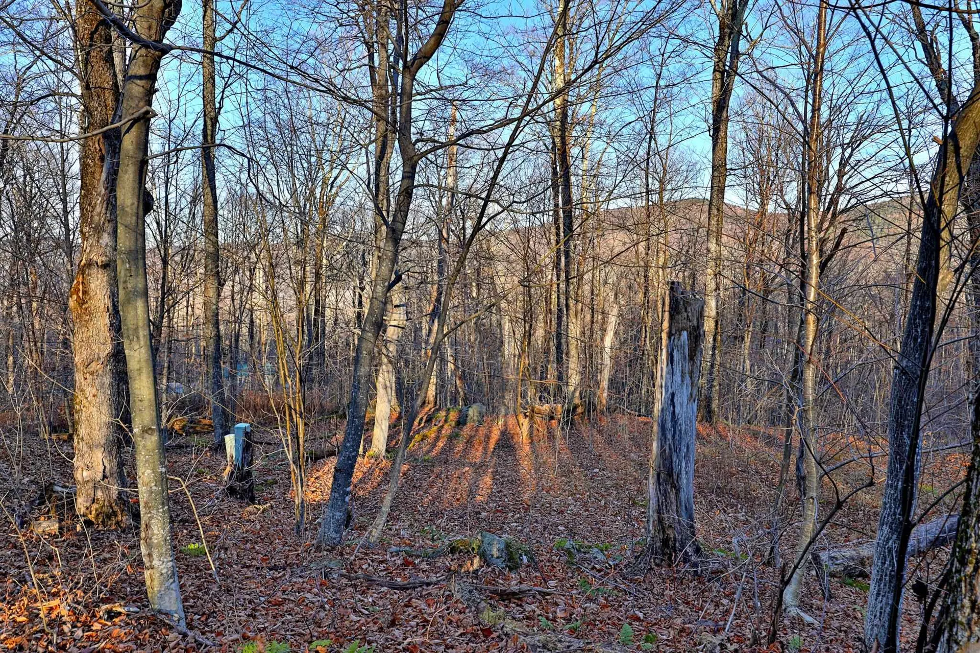 430 Lower Rebecca Lane Killington VT 05751