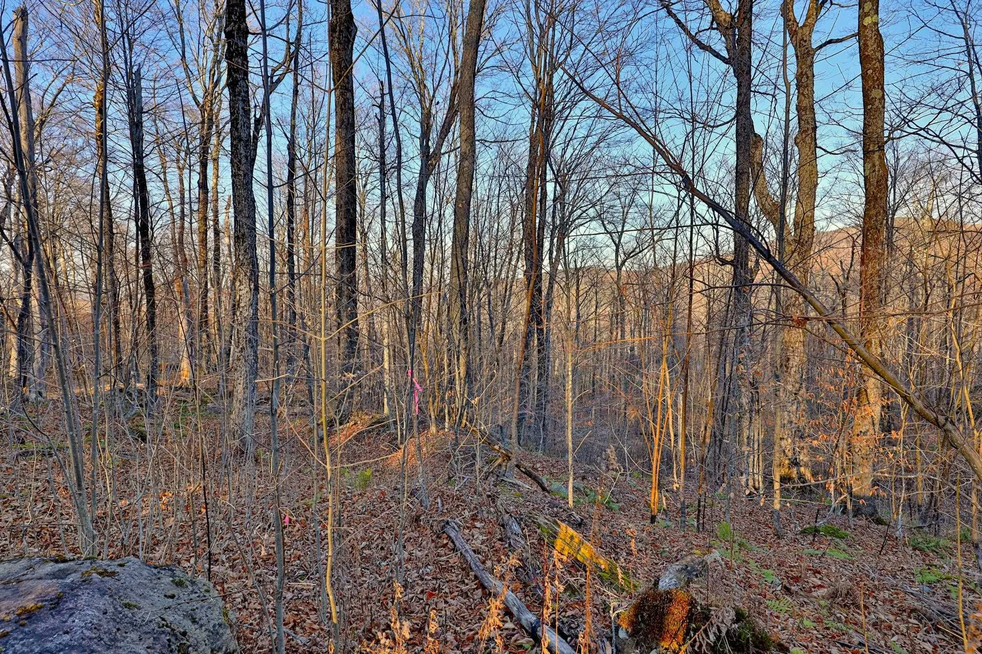 430 Lower Rebecca Lane Killington VT 05751