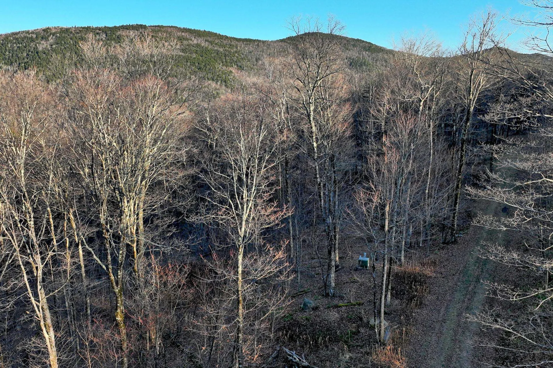 430 Lower Rebecca Lane Killington VT 05751