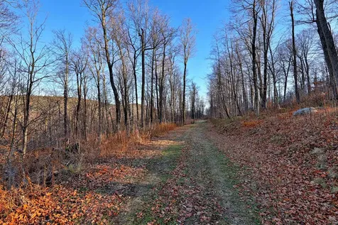 430 Lower Rebecca Lane Killington VT 05751