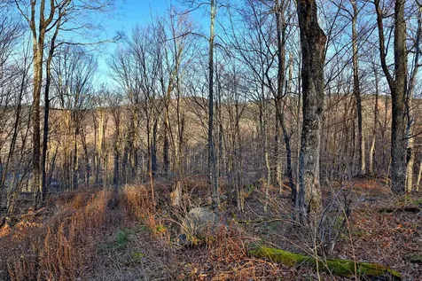 430 Lower Rebecca Lane Killington VT 05751