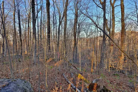 430 Lower Rebecca Lane Killington VT 05751