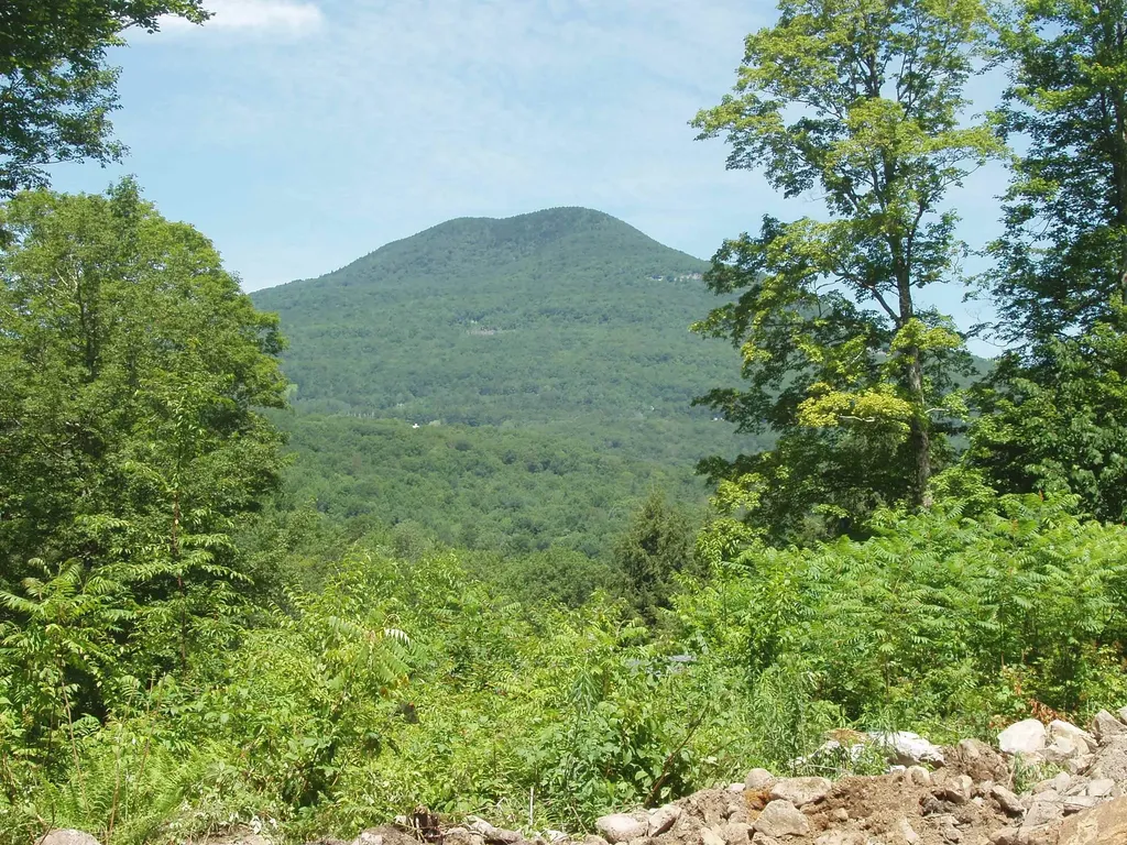 00 Finbar's Forest Road Manchester VT 05255