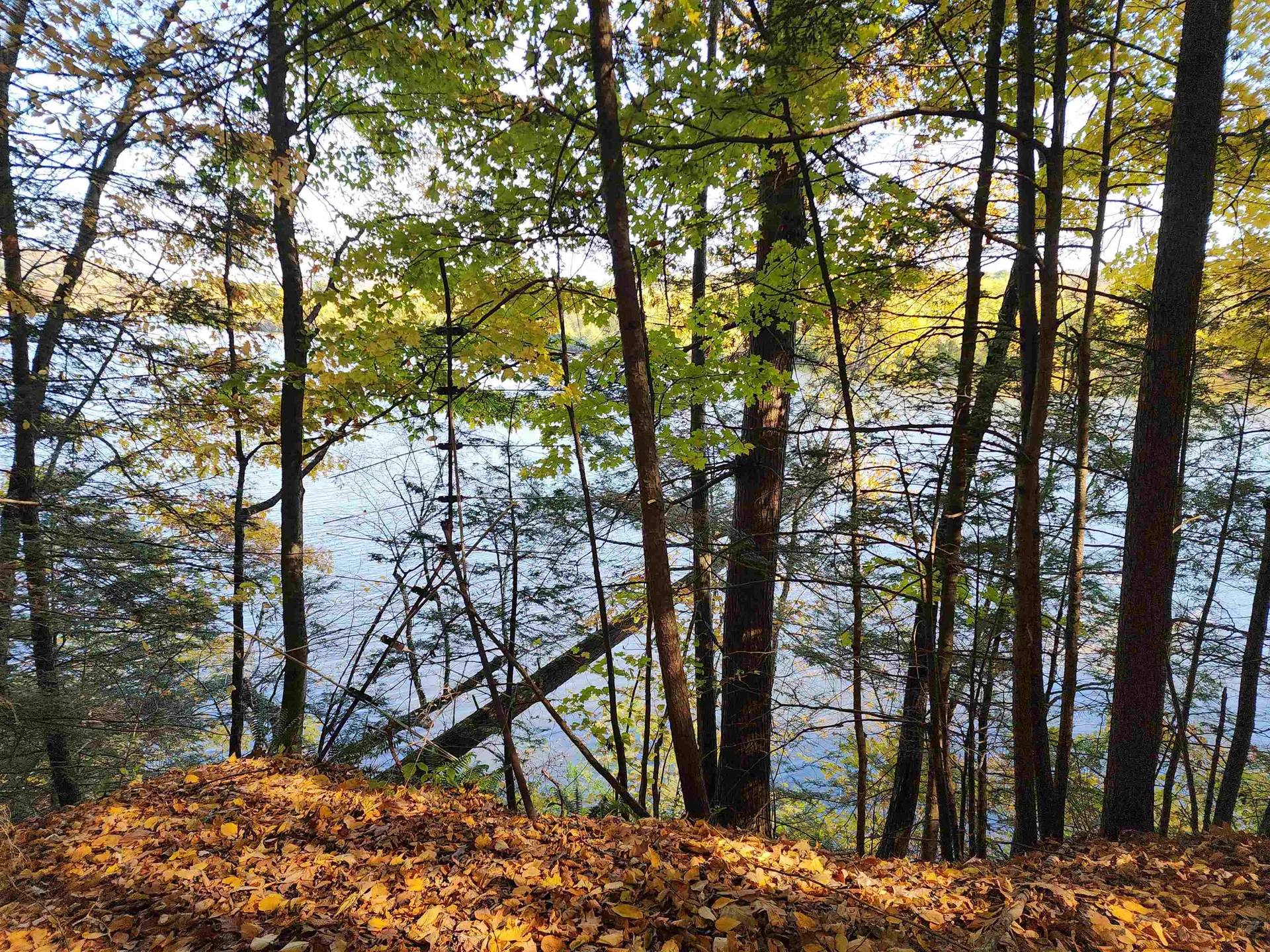 00 Missing Link Road Springfield VT 05156