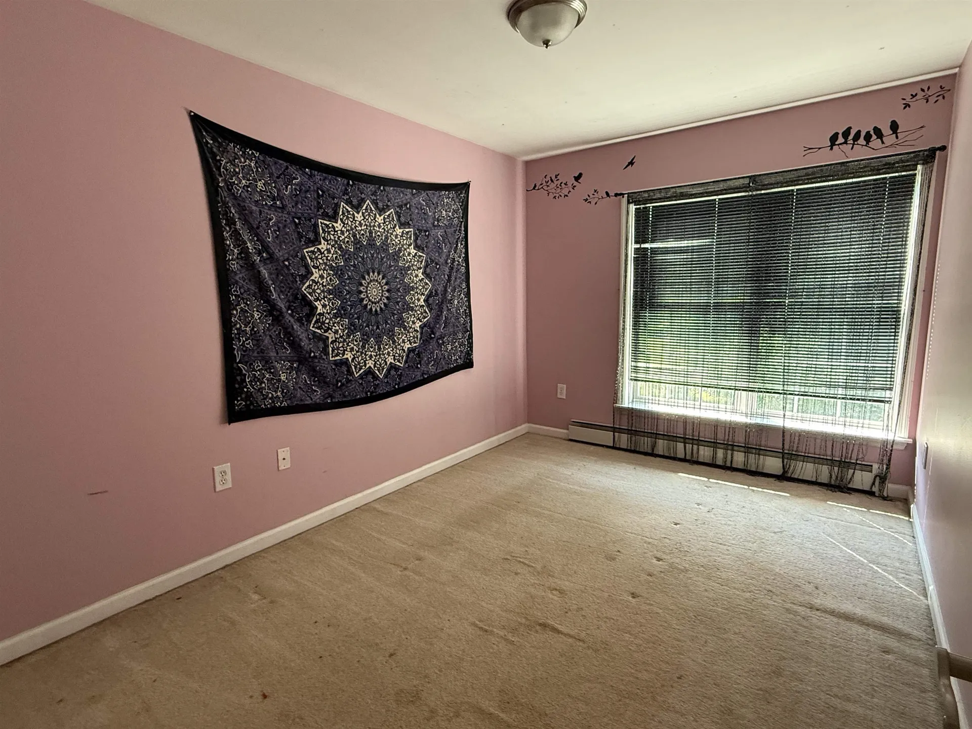 37 Cootey Lane Wallingford VT 05773