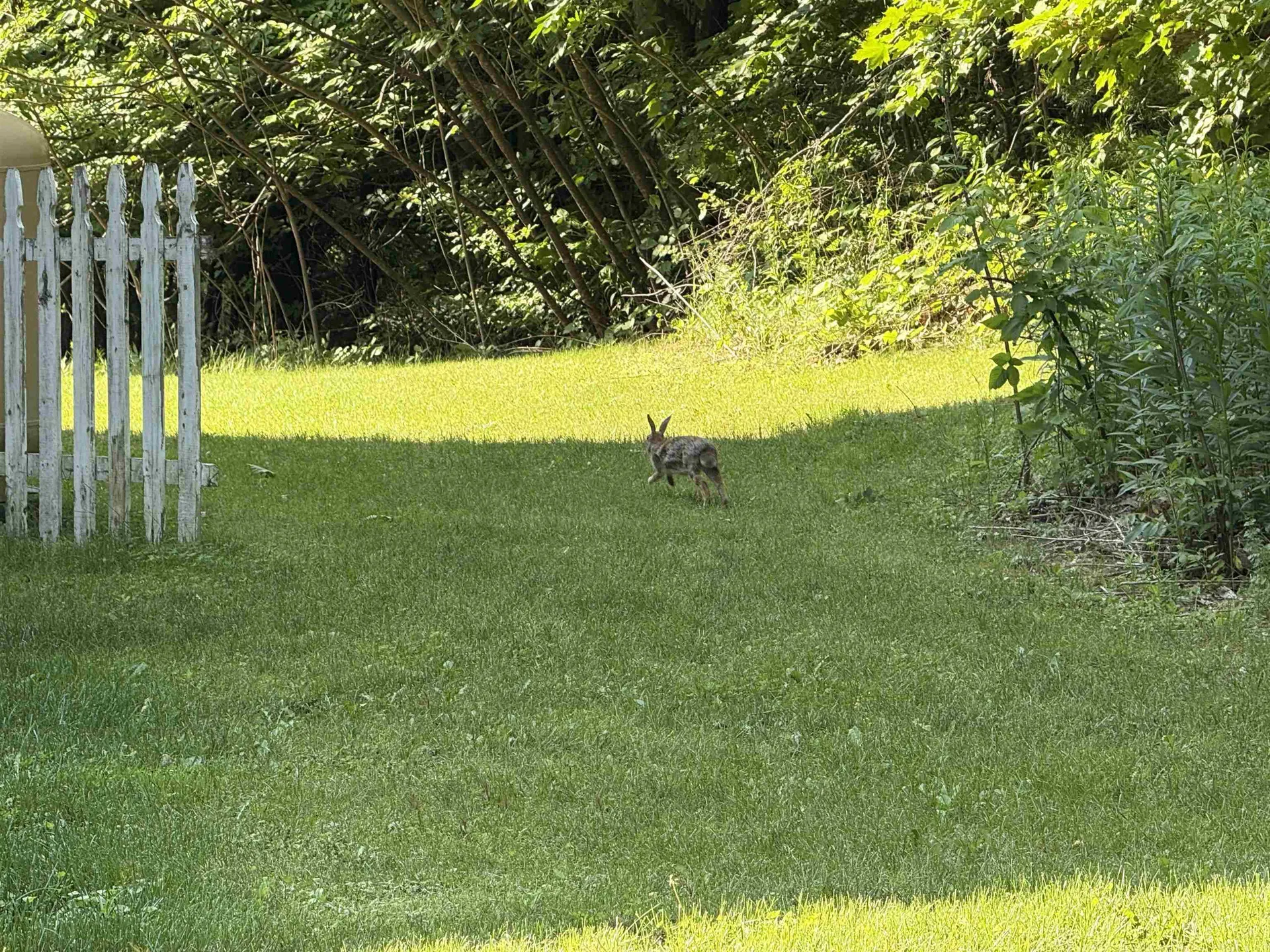 37 Cootey Lane Wallingford VT 05773