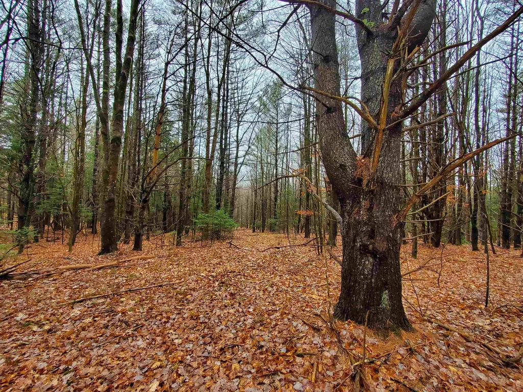 000 West Farms Road Canaan NH 03741