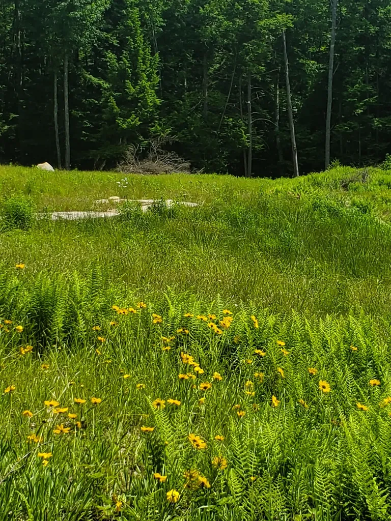 000 West Farms Road Canaan NH 03741