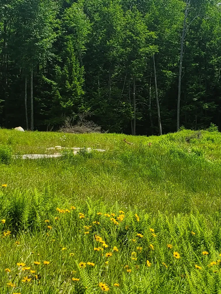 000 West Farms Road Canaan NH 03741