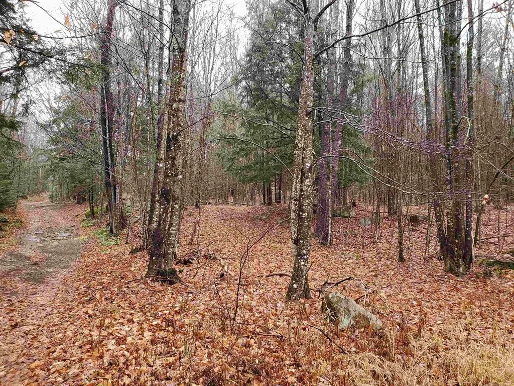 000 West Farms Road Canaan NH 03741