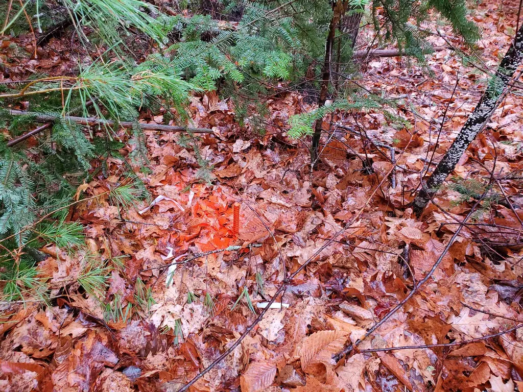 000 West Farms Road Canaan NH 03741