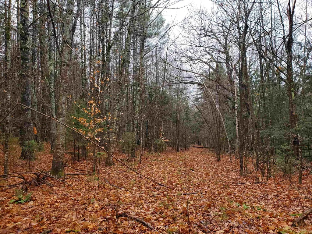 000 West Farms Road Canaan NH 03741