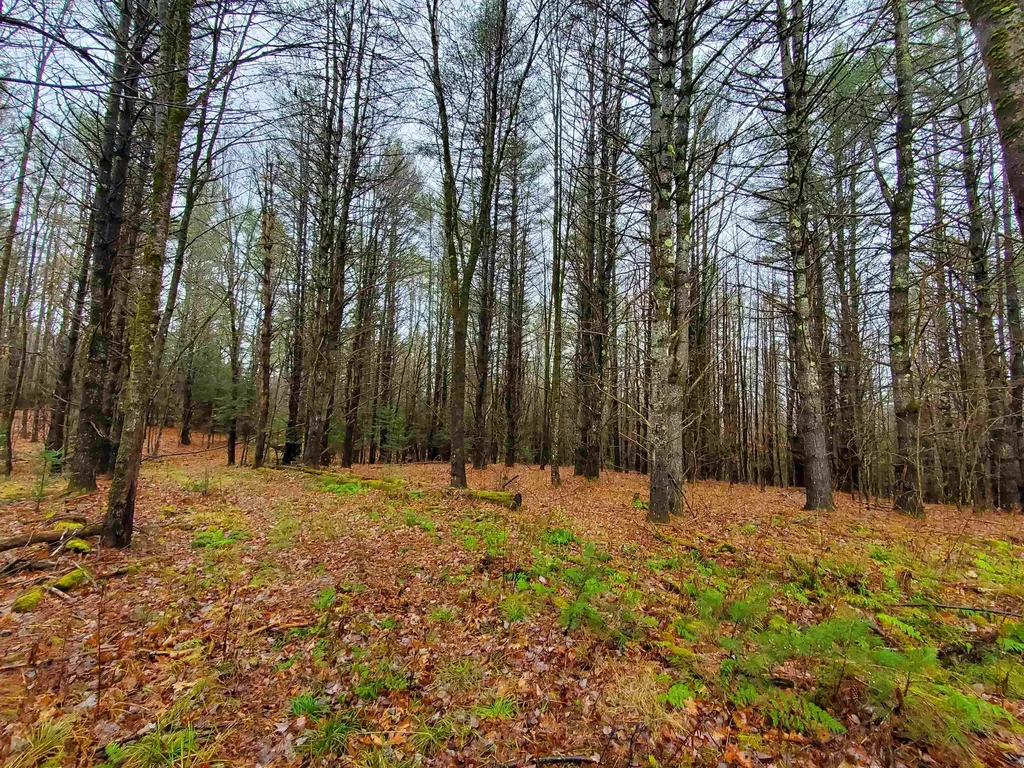 000 West Farms Road Canaan NH 03741