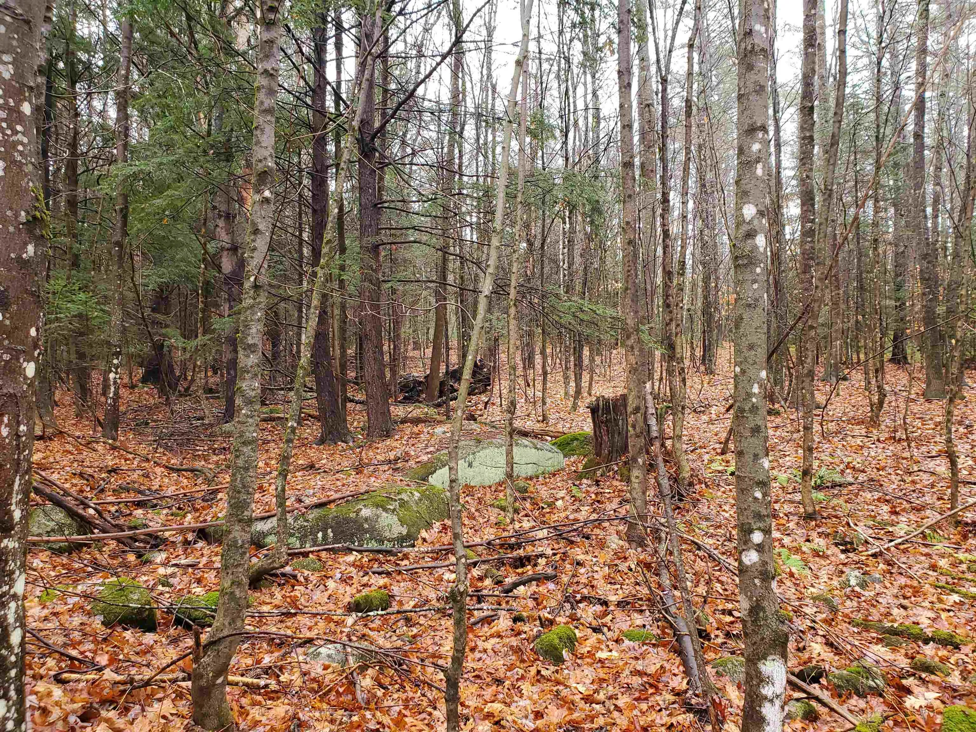 000 West Farms Road Canaan NH 03741