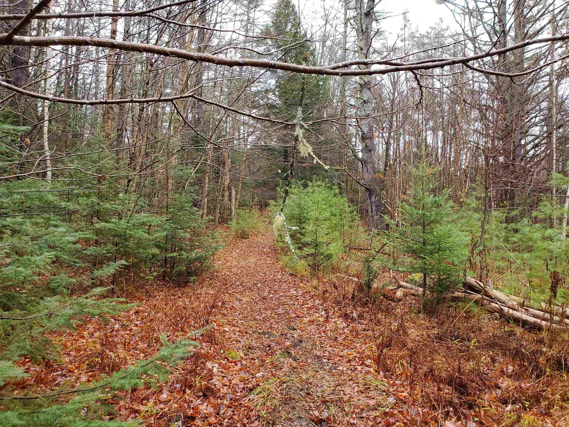 000 West Farms Road Canaan NH 03741