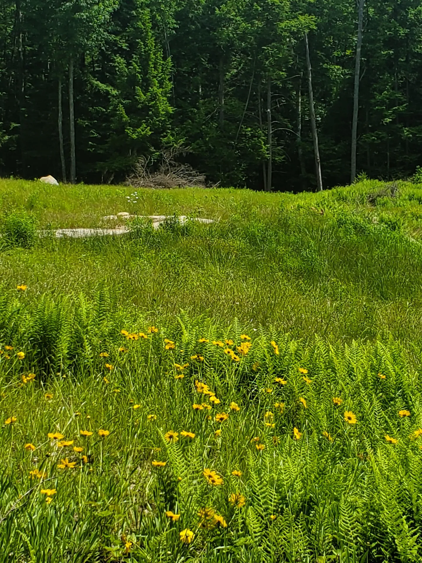 000 West Farms Road Canaan NH 03741