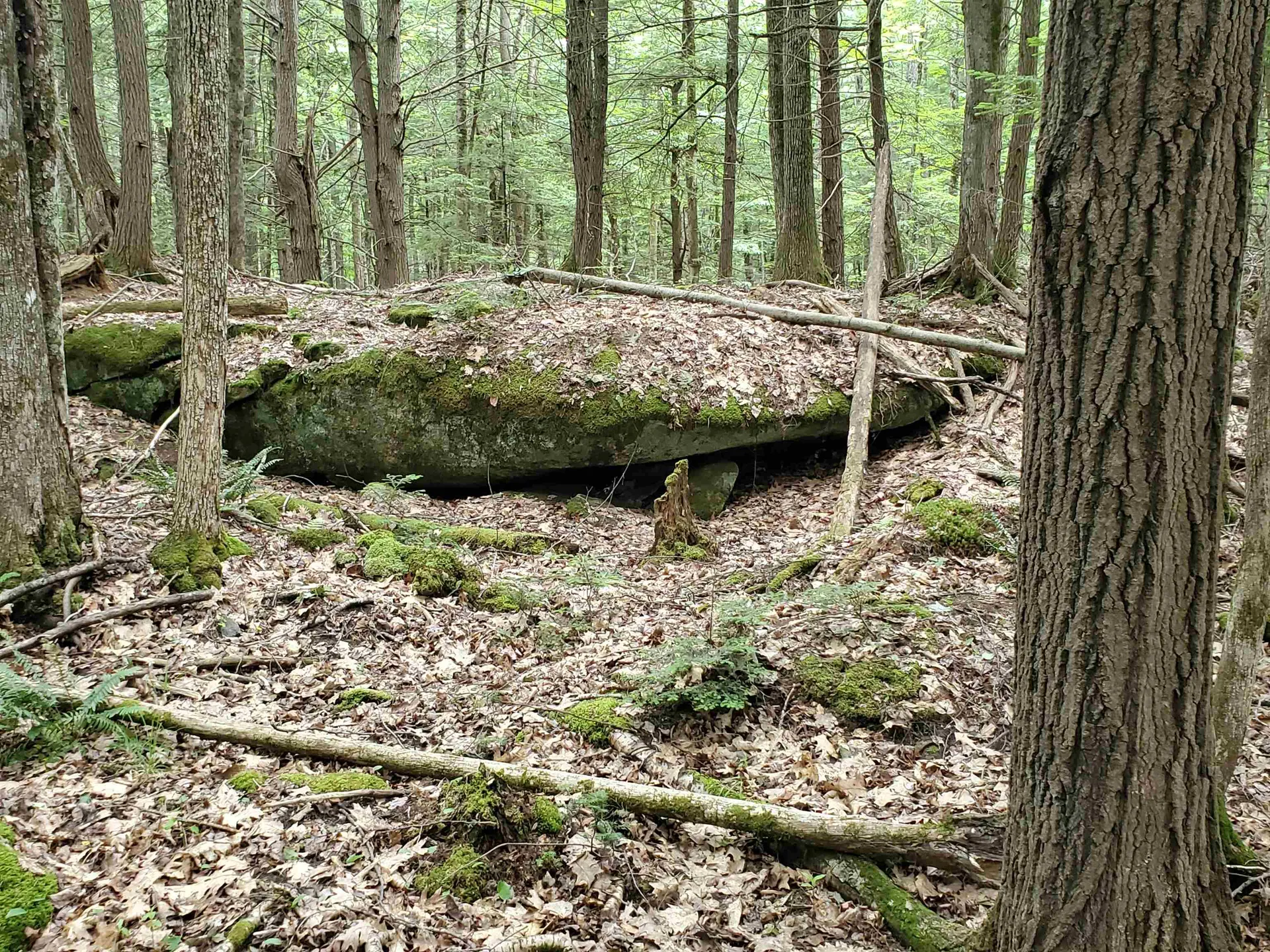 000 West Farms Road Canaan NH 03741