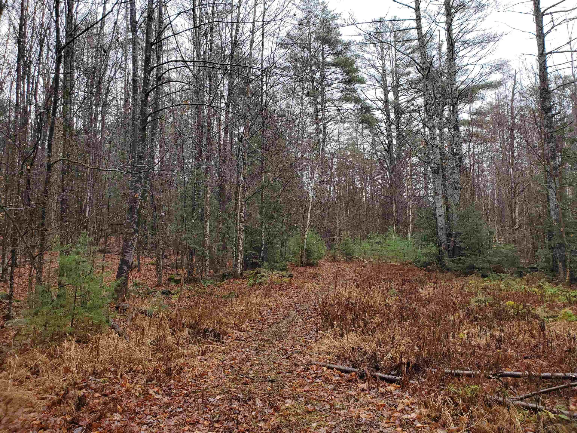 000 West Farms Road Canaan NH 03741