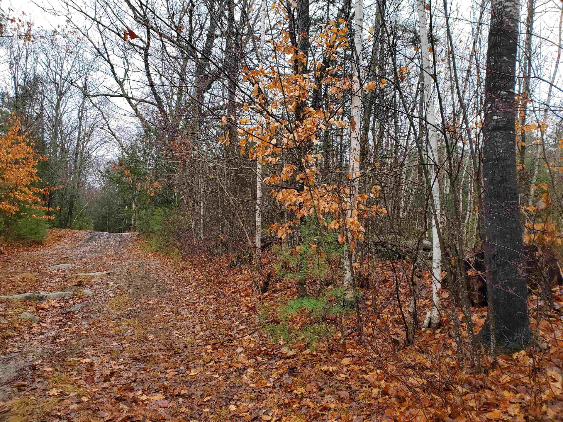 000 West Farms Road Canaan NH 03741