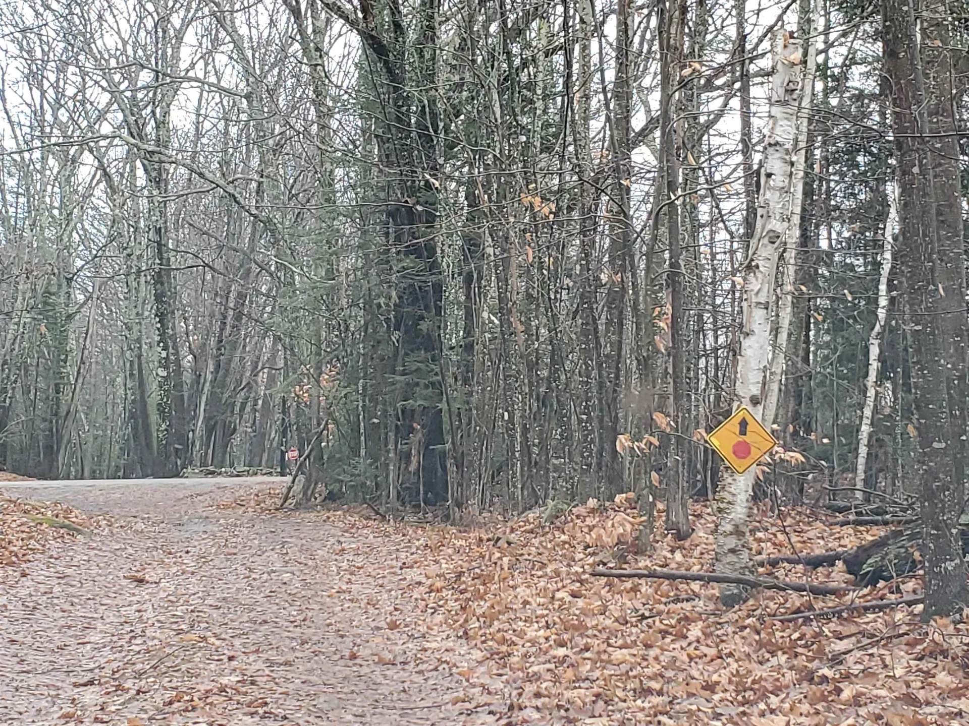 000 West Farms Road Canaan NH 03741