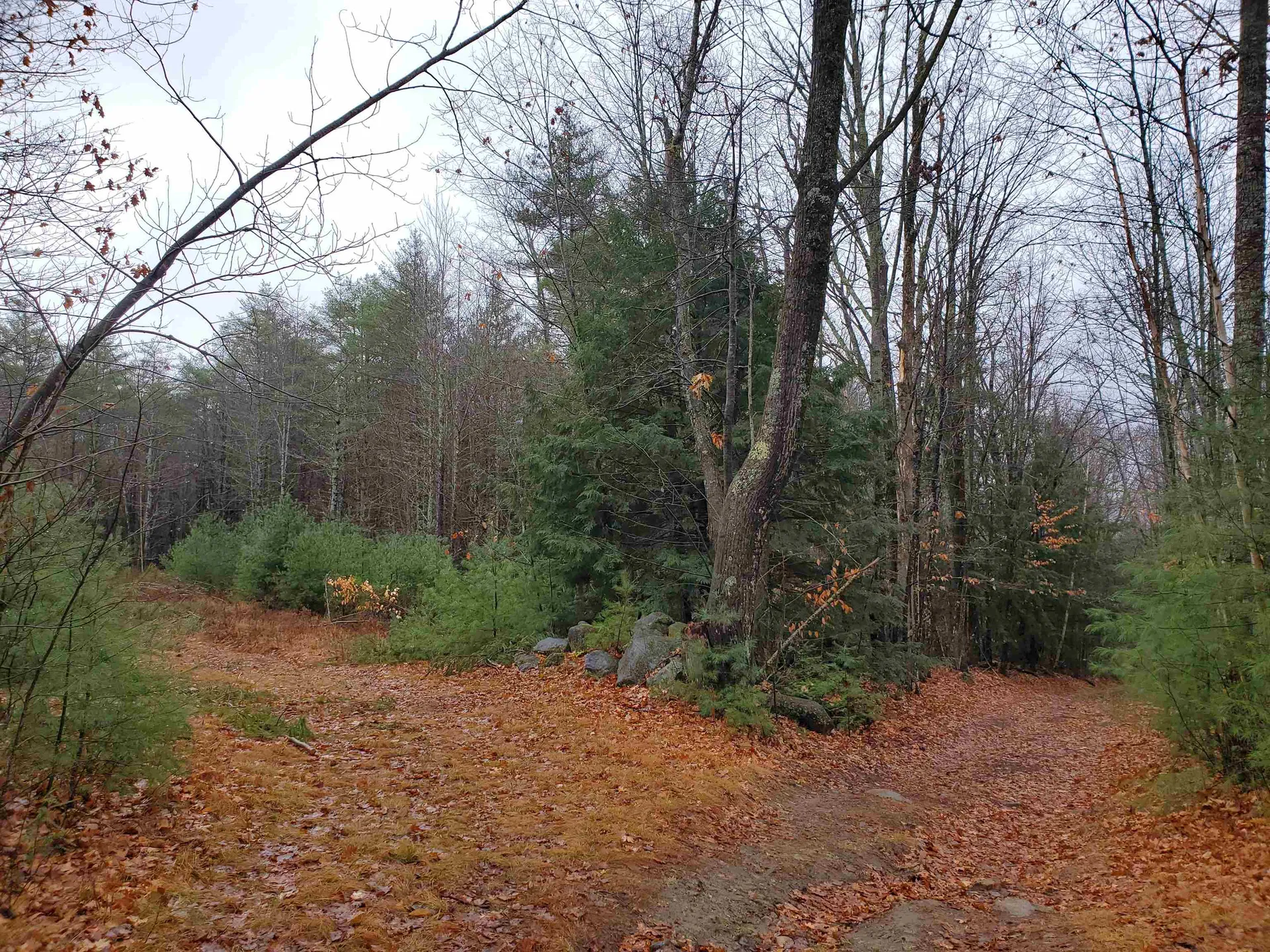 000 West Farms Road Canaan NH 03741