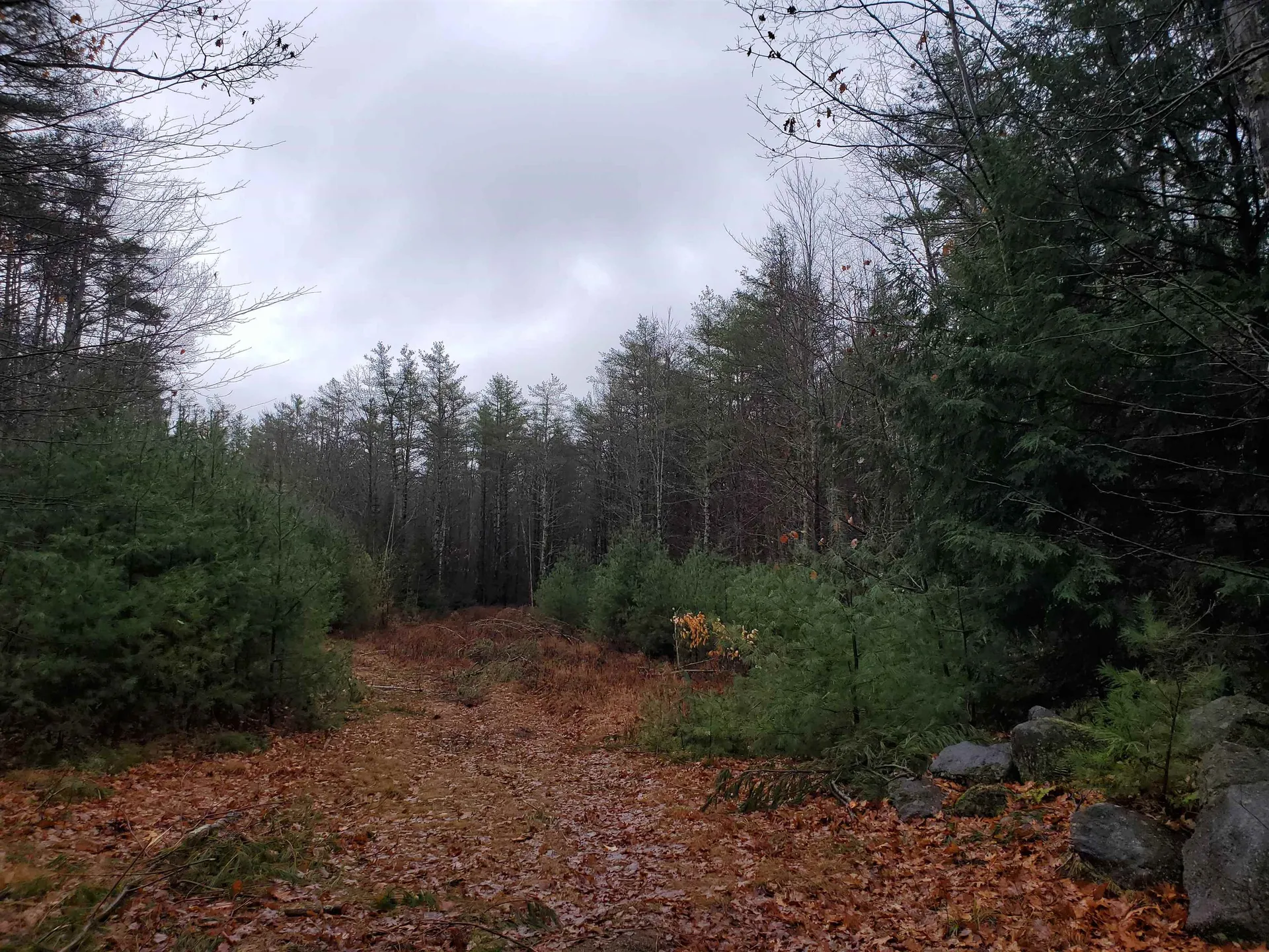 000 West Farms Road Canaan NH 03741