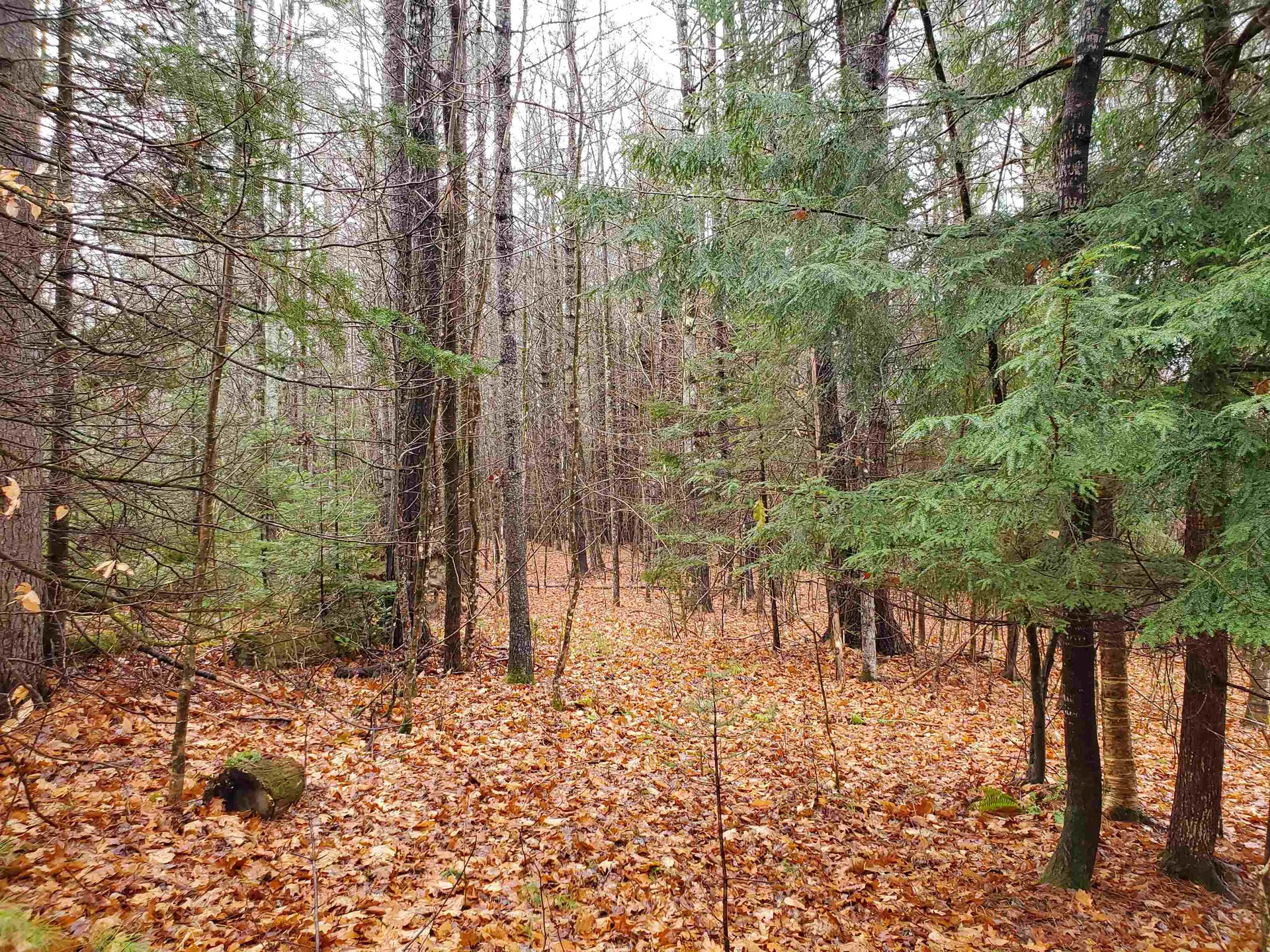 000 West Farms Road Canaan NH 03741