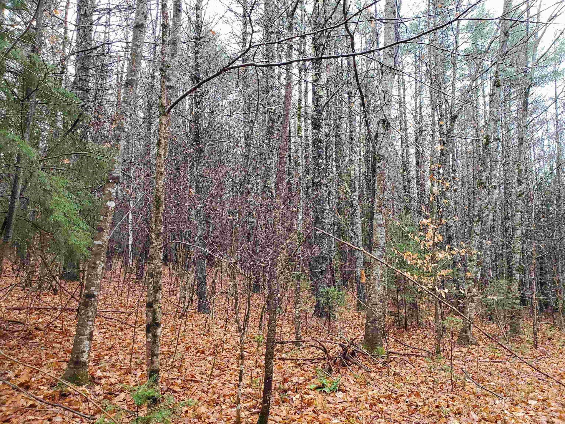 000 West Farms Road Canaan NH 03741