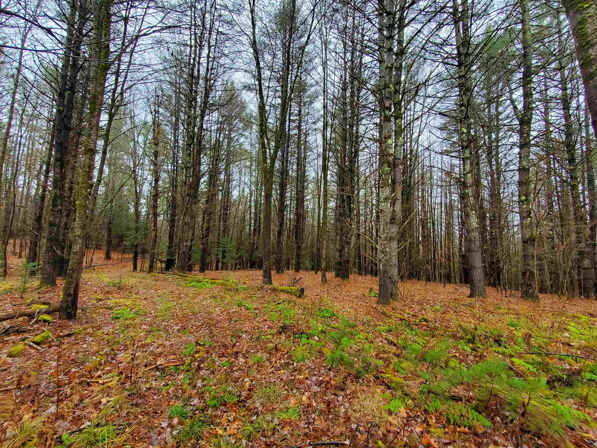 000 West Farms Road Canaan NH 03741