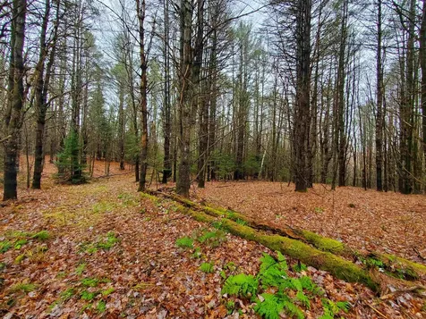 000 West Farms Road Canaan NH 03741