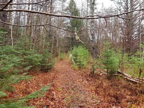 000 West Farms Road Canaan NH 03741