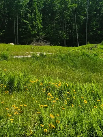 000 West Farms Road Canaan NH 03741