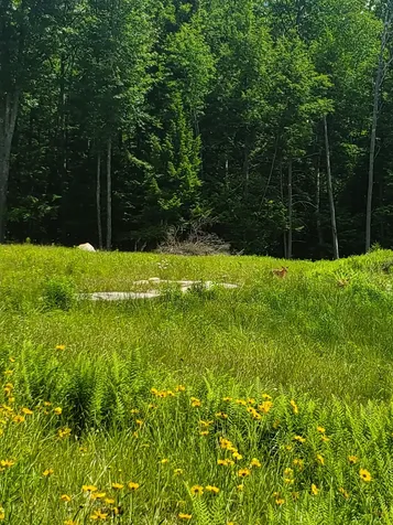 000 West Farms Road Canaan NH 03741