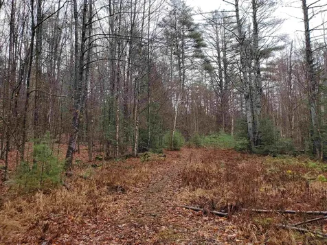 000 West Farms Road Canaan NH 03741