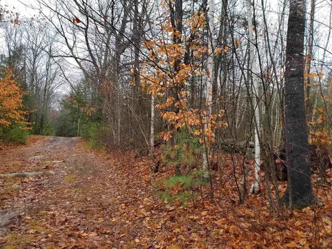 000 West Farms Road Canaan NH 03741